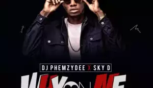 DJ Phemzydee - Why On Me Mixtape ft SKY D